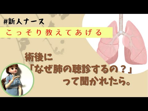 術後なんで肺の聴診するの？＃新人ナース#勉強