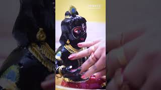 Mere pyaare Banke Bihari मेरे प्यारे बांके बिहारी #krishna#laddugopal #brijbihari #viralvideo#gopal