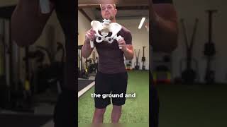 Why You’ve Been Lied To About “Functional” Exercises #functionaltraining #functionalfitness #fitness