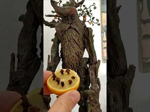 Stick Cloves in Lemon – Viral Hack of 2025! 🍋