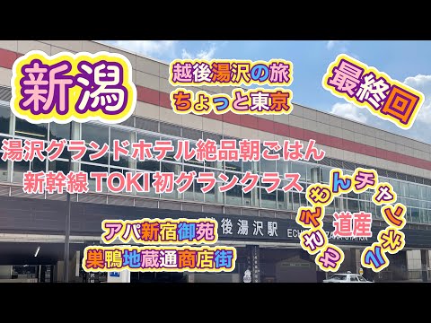 [新潟旅]越後湯沢＆ちょっと東京旅 最終回 人生初のグランクラスに感動