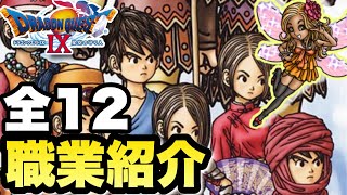 【ゆっくり解説】ドラクエ9全12の職業紹介！