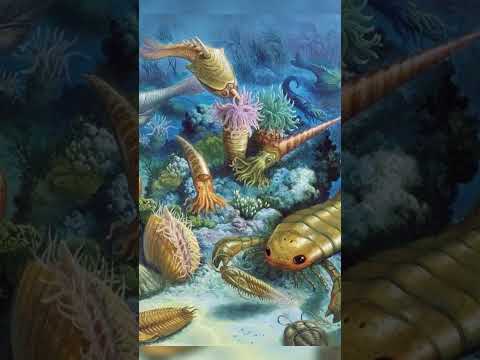 Is this the first living thing on Earth? | Strange facts you never knew | Discovery Daze #shorts