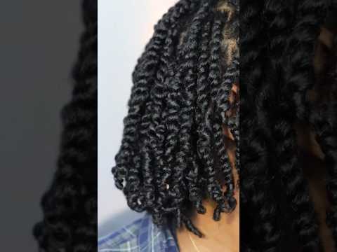 Your sign to get mini twist! #hairstyles #naturalhair #minitwists #naturalstyles #protectivestyle