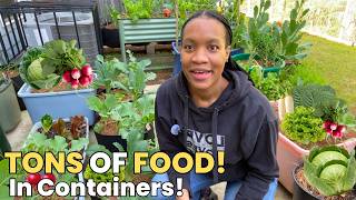 Container Gardening Secret Done Right: Grow a TON of Food in Small Spaces 🔥🥬