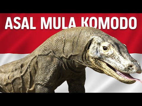 How Komodo Dragons Evolved in Indonesia? | #LearnAncientWorld