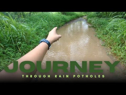 Crossing Rain-Filled Potholes in the Jungle 🌧️🌿