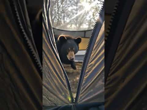 If You Don’t Smile Watching This… Check Your Heart! #adorably #fluffy