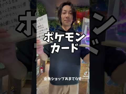 わらしべ長者4回目今度は『ポケカ』になりました！交換お待ちしてます！金魚ショップあまてらす #金魚屋 #国産金魚 #わらしべ長者