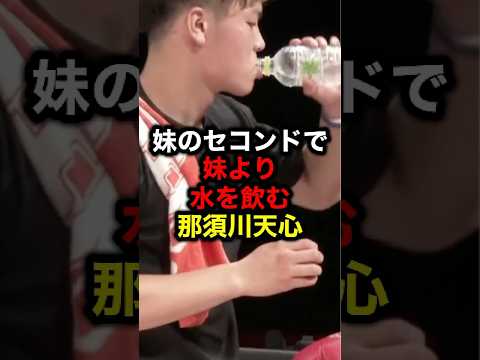 妹のセコンドで妹より水を飲む那須川天心#格闘技#mma#rizin#ufc#那須川天心