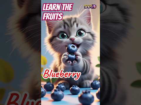 LEARN THE FRUITS #catvideos #learning#forkids#forchild #forkidslearning #kidslearning #kidseducation