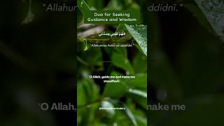 Dua for Seeking Guidance and Wisdom - Illuminating Your Path