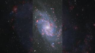 49 hours of exposure of the Triangulum Galaxy (M33) #traingulum #galaxy #space #telescope
