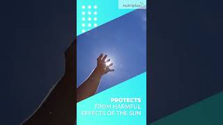 Nutriplus Skinhealth