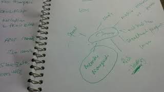 Unit 1 features of c.