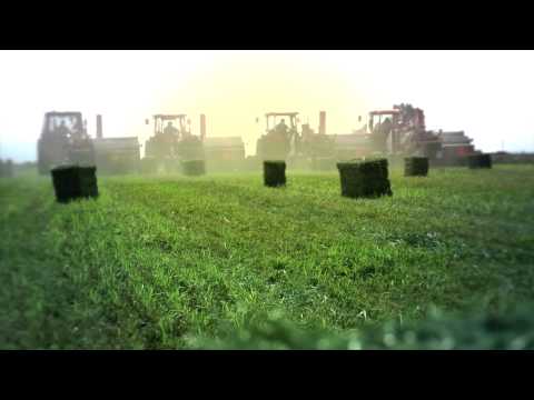 Standlee Premium Western Forage: More Than Just Horse Hay