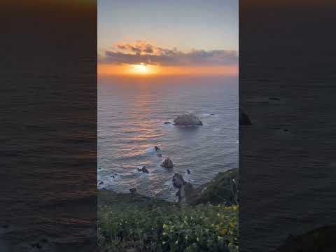 HOW is This Real?? #nature #pacificcoasthighway #roadtrip