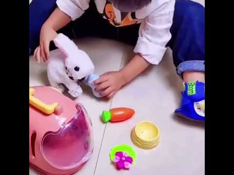 Advanced AI Interaction: A Perfect Playmate for Kids and Pets Alike