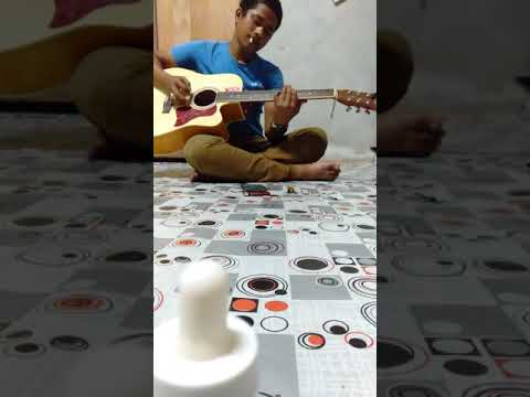 Cover sillyfolls