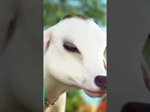 Sham sawere dekhu tujhko kitna sundar_cute #video #shyam #radha #krishnalove #radhakrishna