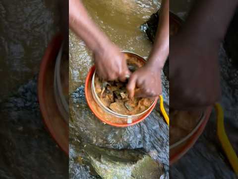 Unbelievable ATV gold shaker is online #goldmining #goldpanning