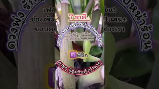 7 ราศี ดวงพุ่ง รักรุ่ง #ดวงโชคลาภ #ดวงดี #ราศี #ราศีมาแรง  #สายมูพารวย #สาธุ #shorts