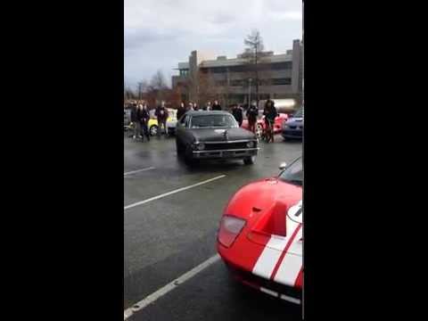 GT40, Chevy Nova and Transam