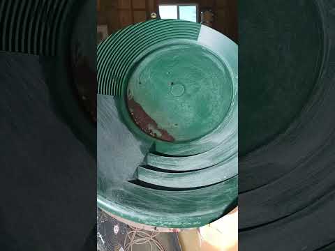 running Cons from the mine trip part 2. (the Joy of Panning) @SilvasSmallMining #family