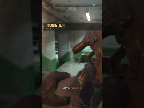 Call of Duty: Modern Warfare 2 | VEL 46 (MP7)