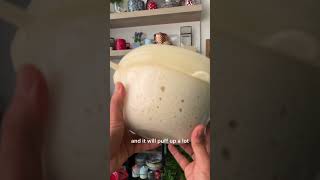 No Knead Sourdough’s Dupe Bread || Easy Bread Recipe