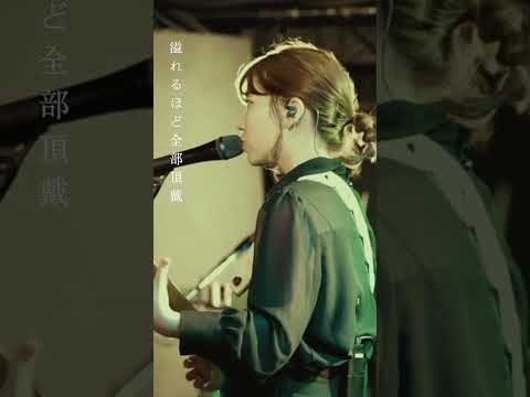 以日文演唱的台灣樂團「ゲシュタルト乙女」#格式塔少女 #Dreamaholic
