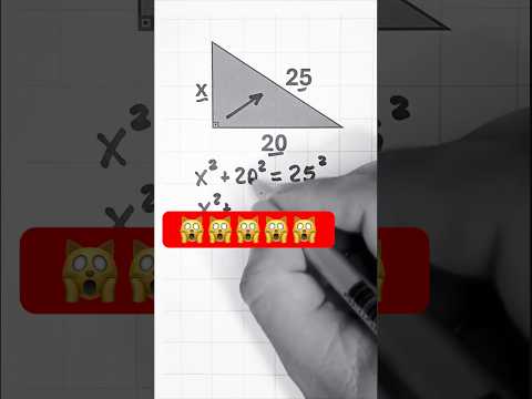 The pi society part 4 #maths #1stmaths #highschoolmaths #mathstricks #ihavethisthingwithplants
