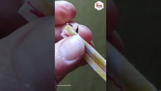 How to use loop turner
