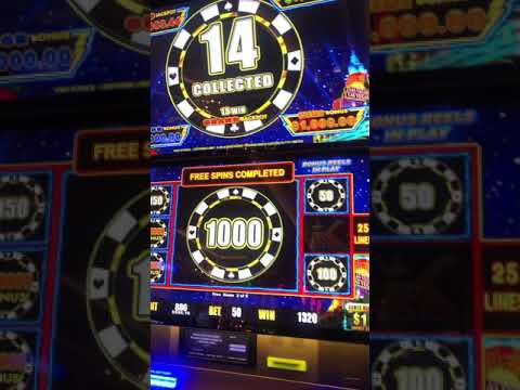 LIGHTNING LINK big money winning Chip chip HIGH STAKES