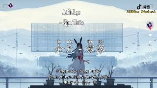 金天 - 零落 (抖音版) Linh Lạc - Kim Thiên『一天又一年一遍又一遍，一步又一念一阶又一阶』𝑳𝒚𝒓𝒊𝒄𝒔｜𝑷𝒊𝒏𝒚𝒊𝒏｜𝑽𝒊𝒆𝒕𝒔𝒖𝒃｜TikTok｜抖音