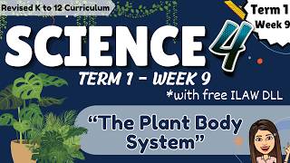 Science 4 | Term 1 | Week 9 | Plant Body System (Revised K to 12 Curriculum)