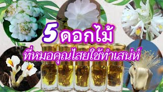 5 ดอกไม้ที่นิยมใช้ทำน้ำมันมหาเสน่ห์