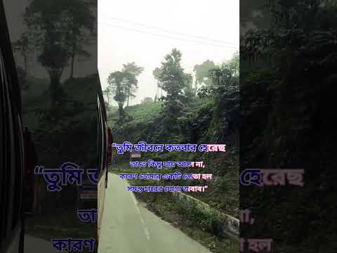 জীবনে কতবার হেরেছো সেটা গুরুত্বপূর্ণ নয় #sorts