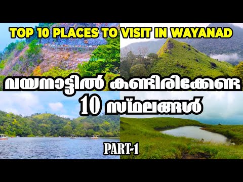 Top 10 Places to Visit In Wayanad | Wayanad Travel Guide | Wayanad Tourist Places | Best in wayanad