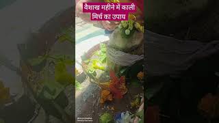 वैशाख महीने में काली मिर्च का उपाय #trending #pradeepmishra #upay #shivmahapuran #shorts #viral #शिव
