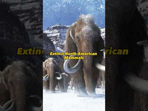 Extinct North American Mammals In Comparison To The Size Of A Human #history