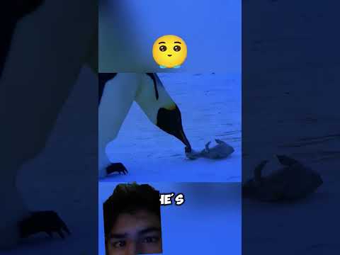 the girl woke pregnant 😆 #girl #pregnancy #shortvideo #shots #shorts #youtubeshorts