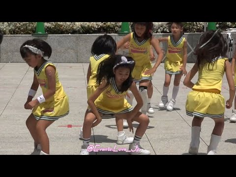 少女たちのチアコスDANCE