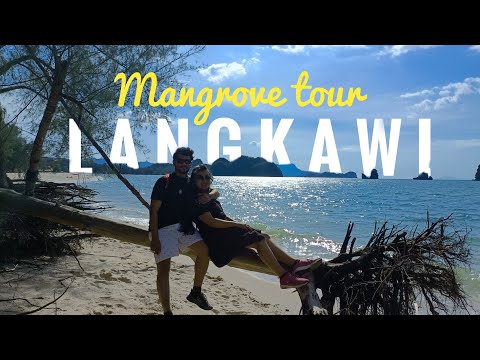 Malaysia budget tour from India | Langkawi travel guide | Mangrove forest tour in jetty |Tanjung Rhu