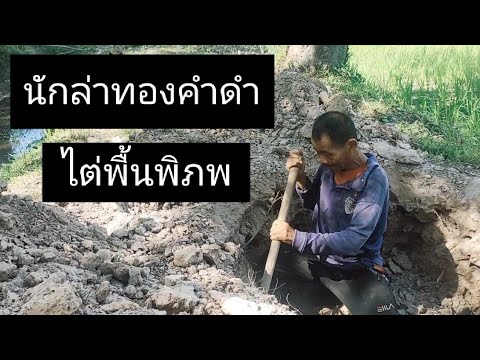 เขาว่ามันเป็นยาโด๊ปน้ำหวานแมงขี้สูด(ชันโรง) - อาชีพสร้างรายได้Channel