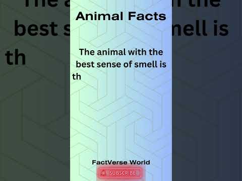 Animal Facts