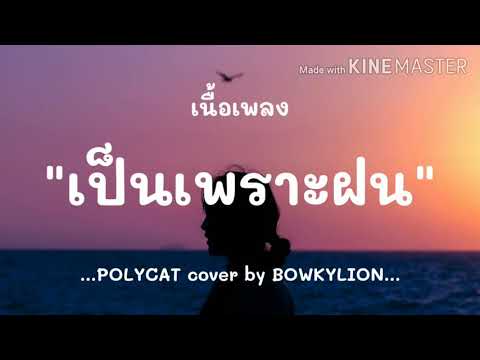 (เนื้อเพลง) เป็นเพราะฝน - POLYCAT cover by BOWKYLION