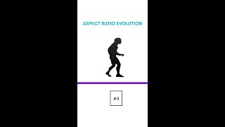 📺 Evolution?