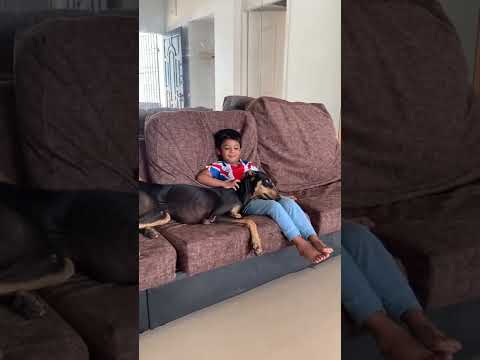 Dog sleeping with Baby