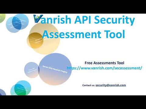 API Security Assessments